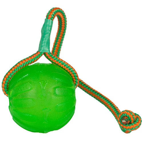 Starmark Swing N Fling Chew Ball