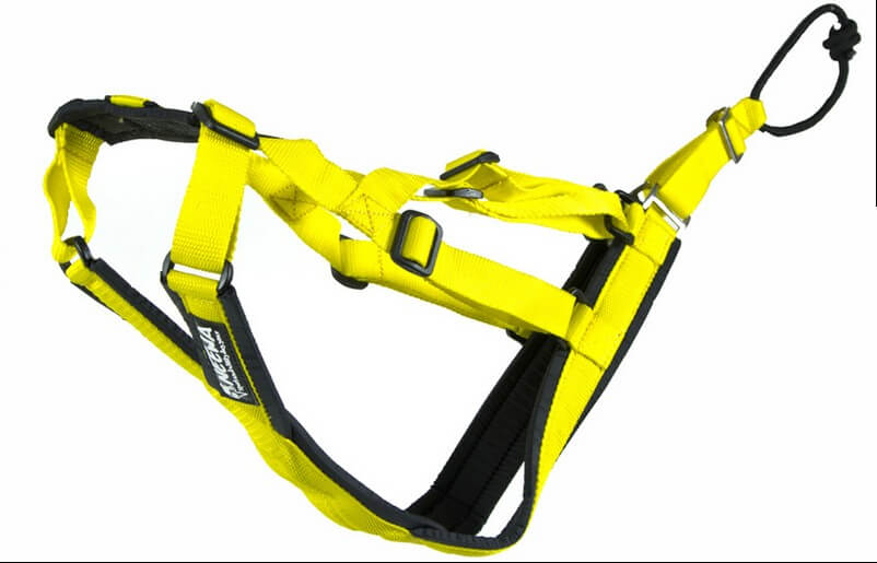 Neewa Sled Dog imbragatura sleddog per cane ULTIMI PEZZI