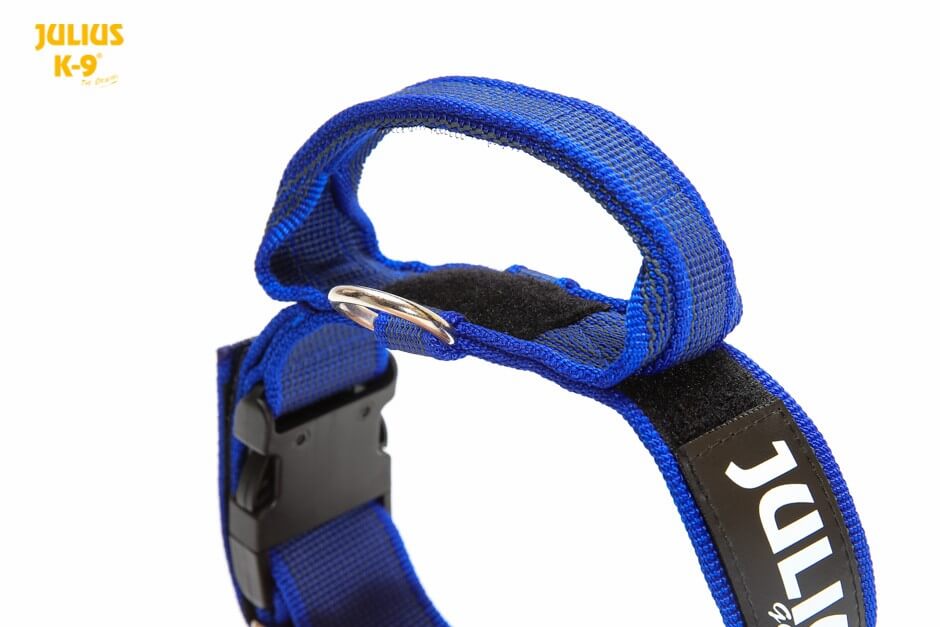 Julius K9 Color& Gray Collare in nylon con maniglia 40mm x 38-53cm