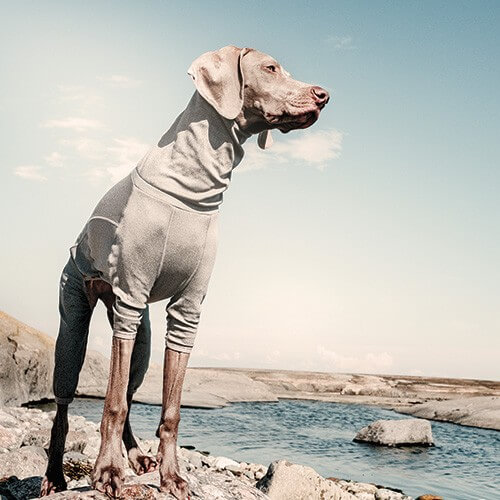 Hurtta Tuta Body Warmer Carbonio per cani