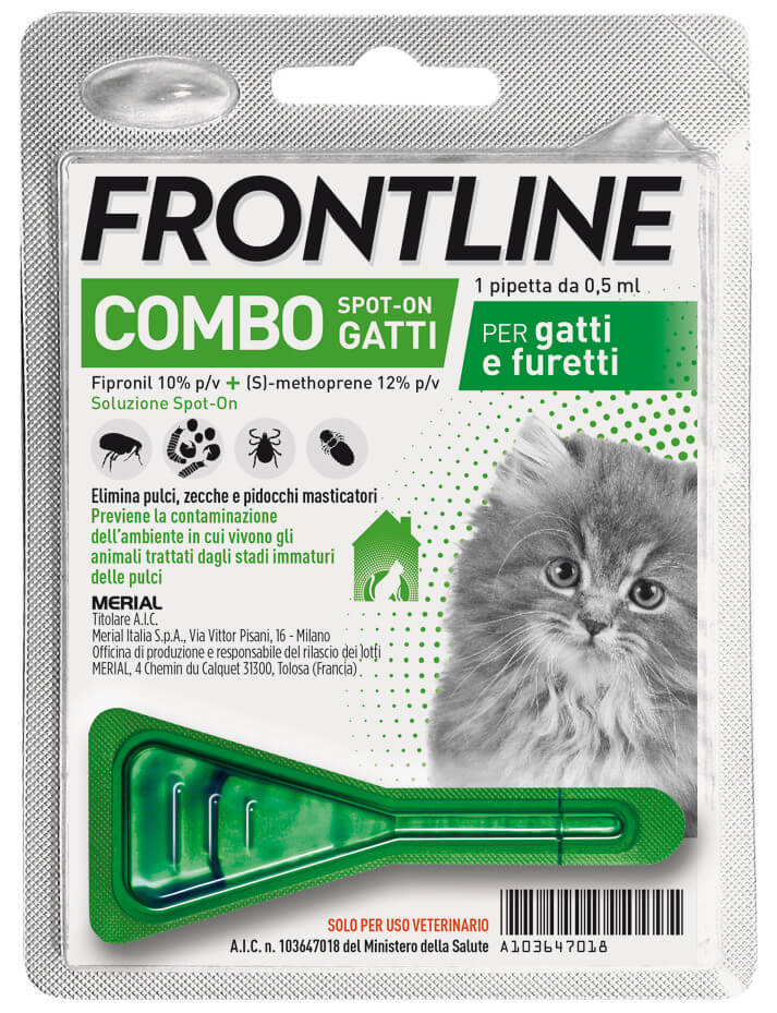Frontline Combo Gatti e Gattini 1 pipetta