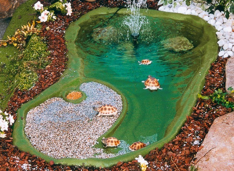 Laghetto Ninja per tartarughe acquatiche