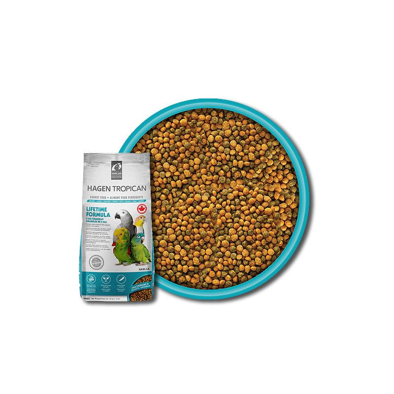 HARI Lifetime Formula mantenimento 4mm estruso pappagalli Formato 1,8 kg
