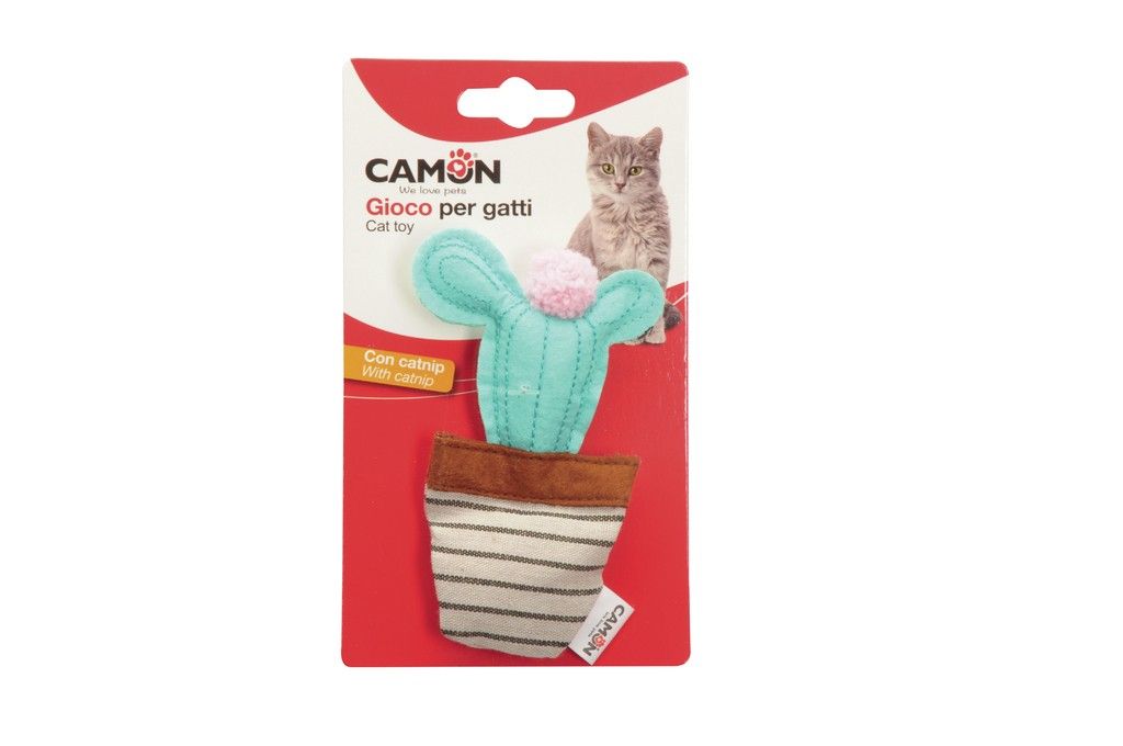 Camon Gioco Cactus in vasetti