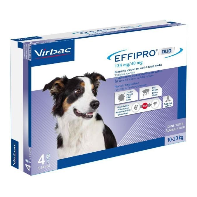 Effipro Duo cane 10-20 kg 4 pipette