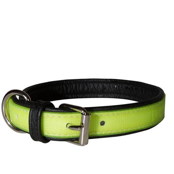 Julius K9 Collare Fluorescente Lumino