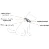 Ezydog - Collare Info