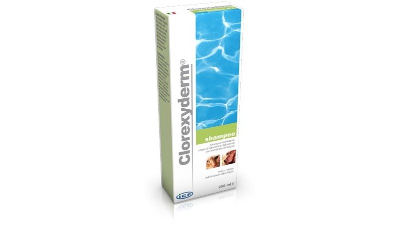 ICF Clorexyderm Shampoo 4% 250ml disinfettante cane gatto