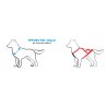 Neewa Sled Pro imbragatura sleddog per cane