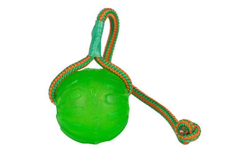 Starmark Swing N Fling Chew Ball