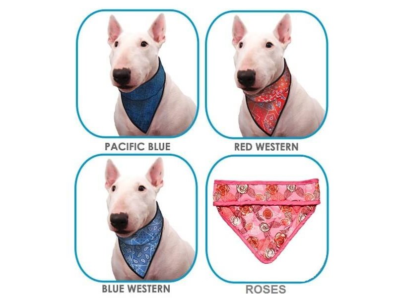 Aqua Coolkeeper Bandana Refrigerante