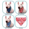 Aqua Coolkeeper Bandana Refrigerante