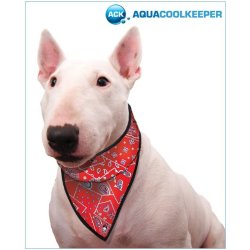 Aqua Coolkeeper Bandana Red Western