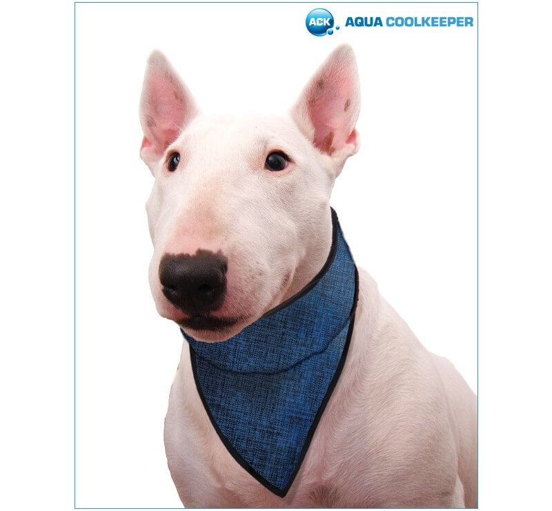 Aqua Coolkeeper Bandana Pacific Blue