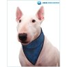 Aqua Coolkeeper Bandana Pacific Blue