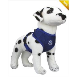 Aqua Coolkeeper Pettorina con Anello Refrigerante Cane Pacific Blue