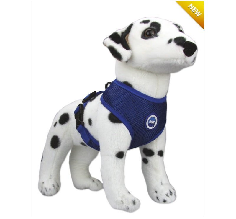 Aqua Coolkeeper Pettorina con Anello Refrigerante Cane Pacific Blue