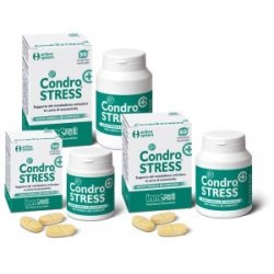 Innovet CondroSTRESS (+) integratore articolare cane