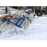 Neewa Sled Dog imbragatura sleddog per cane