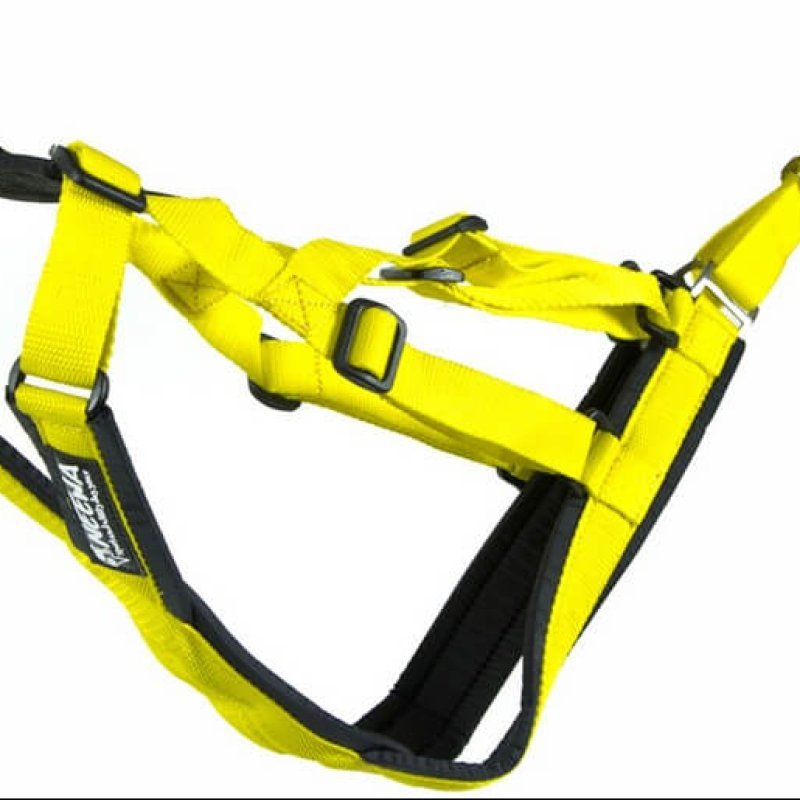 Neewa Sled Dog imbragatura sleddog per cane