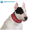 Aqua Coolkeeper Collare Refrigerante Red Western