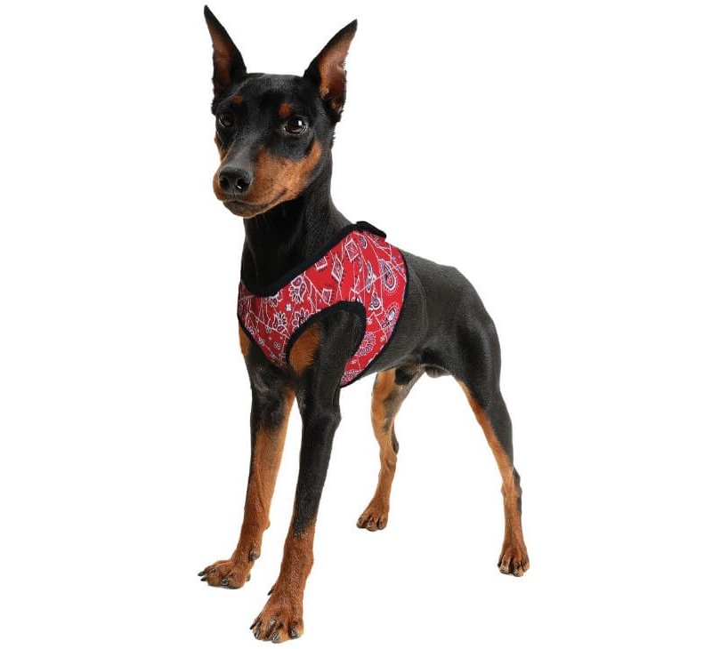 Aqua Coolkeeper Pettorina Refrigerante Red Western