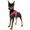 Aqua Coolkeeper Pettorina Refrigerante Red Western