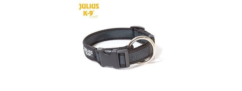 Julius K9 Collare in nylon Color & Gray 25mm x 39-65cm