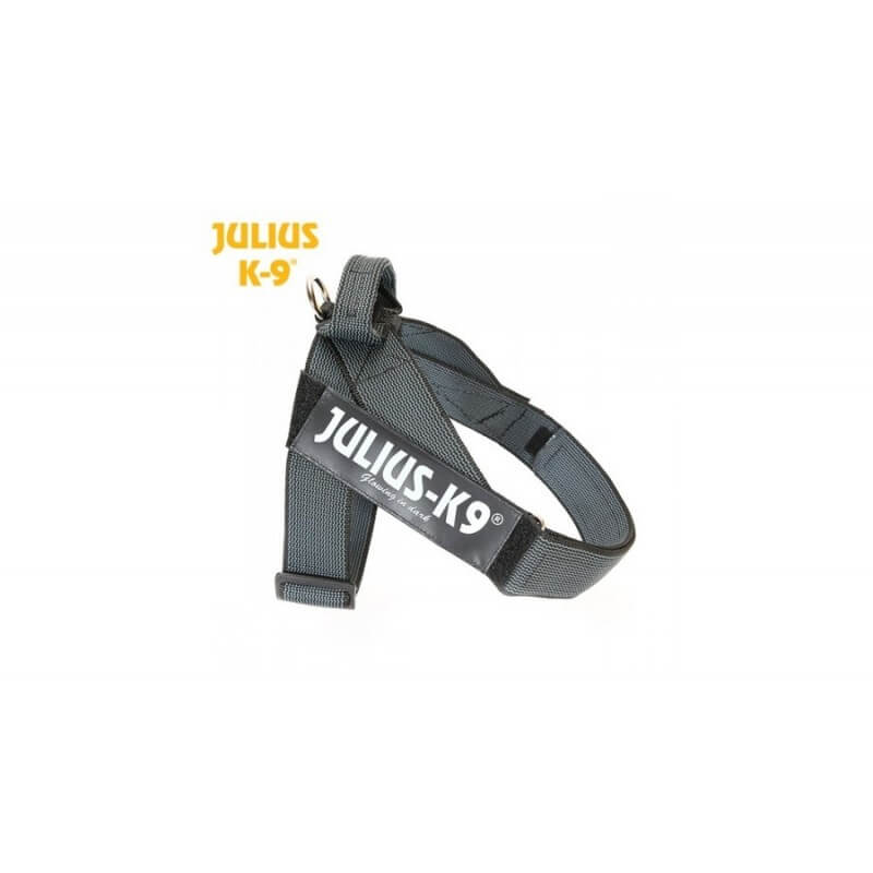 Julius K9 IDC Belt Harness Color & Gray BLACK