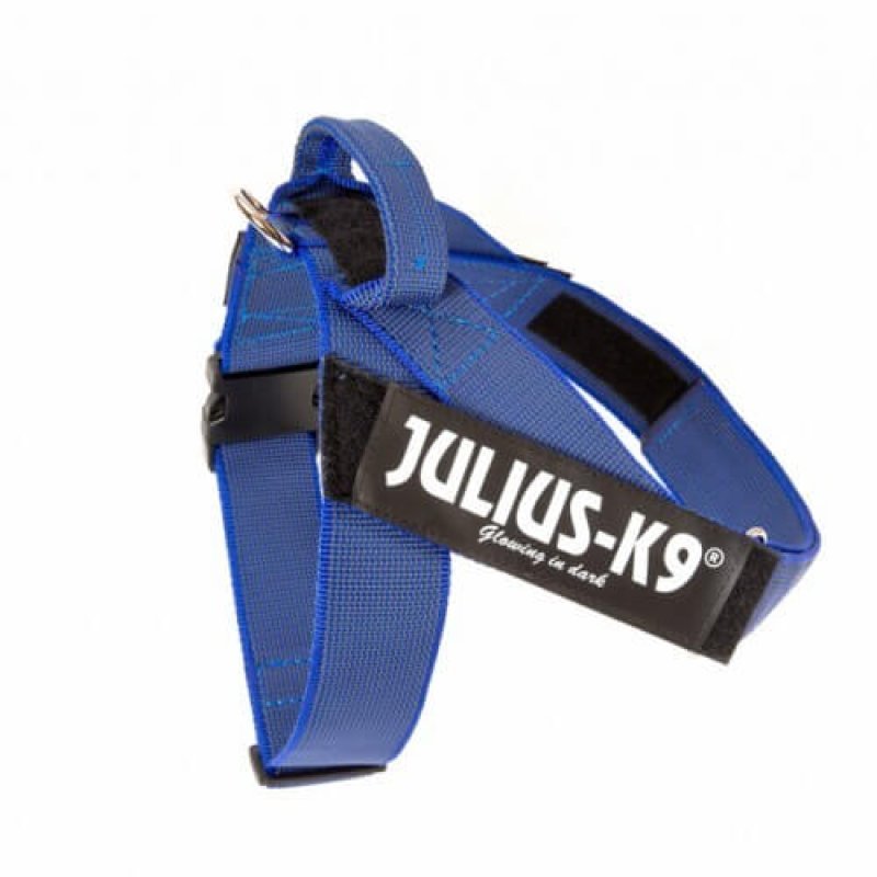 Julius K9 IDC Belt Harness Color & Gray blu