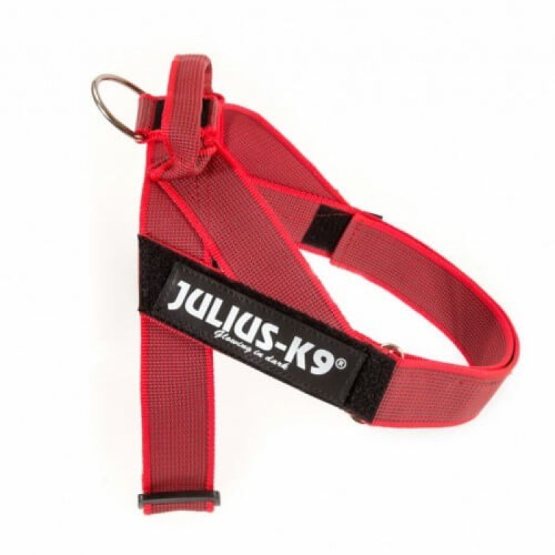 Julius K9 IDC Belt Harness Color & Gray red