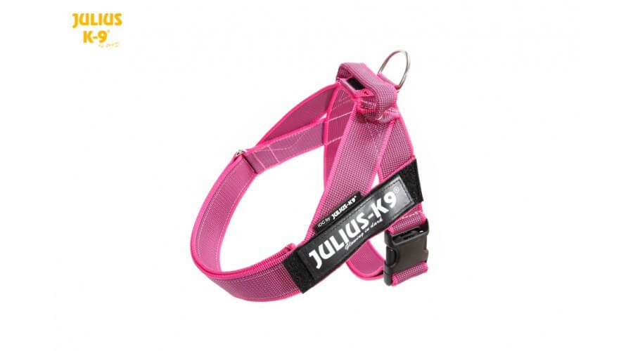 julius k harness