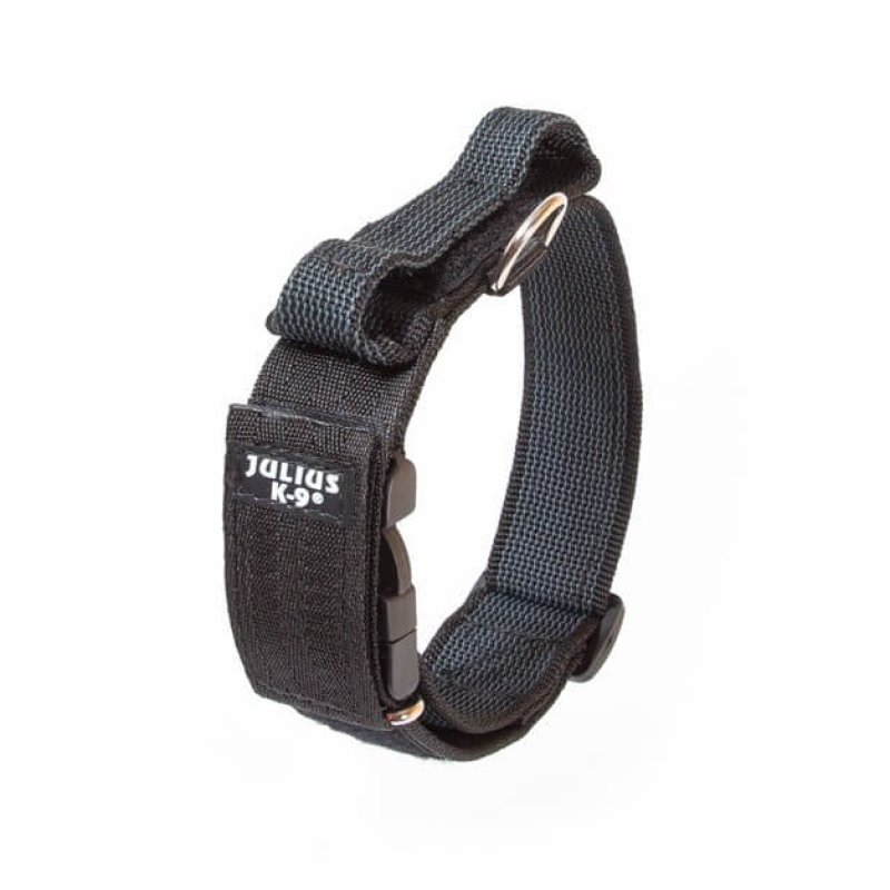 Julius K9 Color& Gray Collare in nylon con maniglia 40mm x 38-53cm