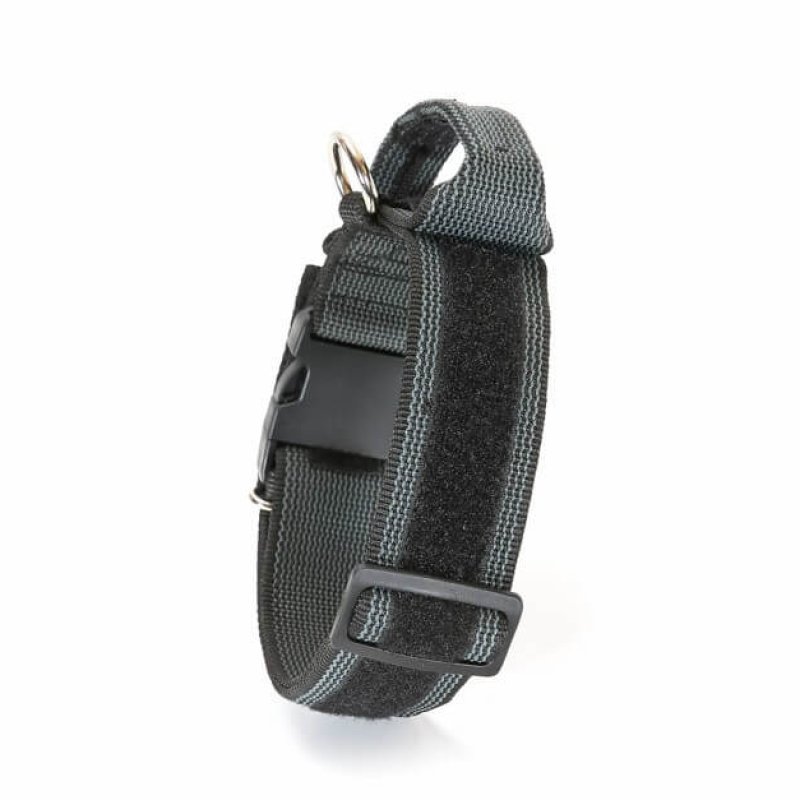 Julius K9 Color& Gray Collare in nylon con maniglia 40mm x 38-53cm