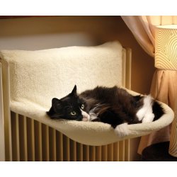 Camon Good Sleep