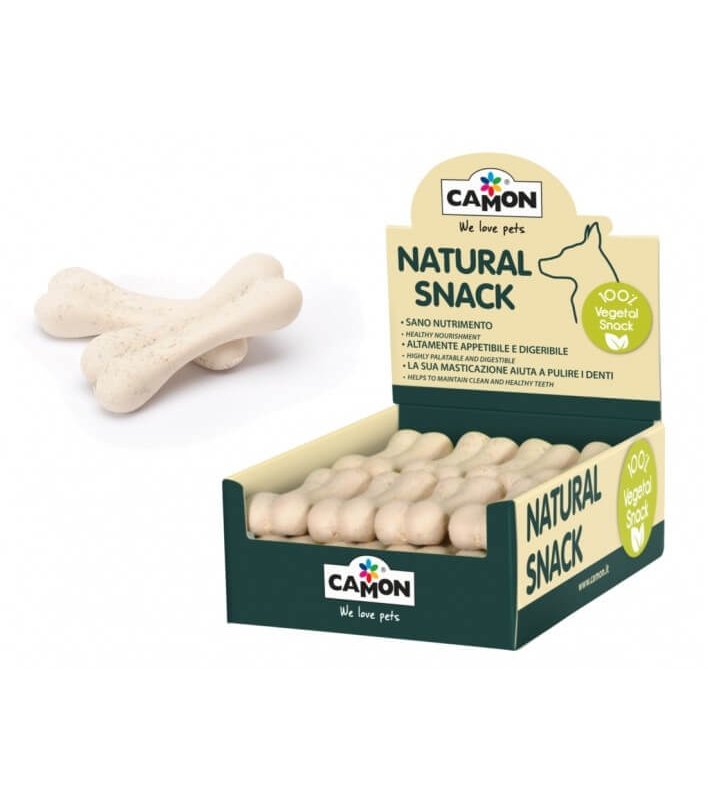 Camon Dental Bones