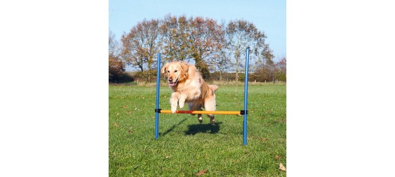 Holland Animal Care Agility Hurdle