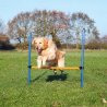 Holland Animal Care Agility Hurdle
