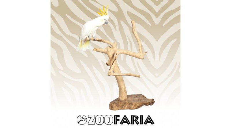 Java Playstand Medium