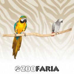 Zoofaria Posatoio Singolo Lungo 90cm in legno per uccelli