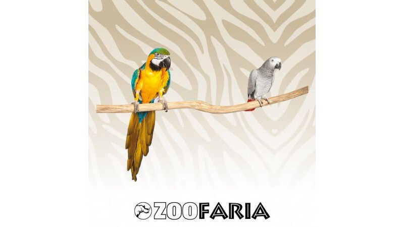 Zoofaria Posatoio Singolo Lungo 90cm in legno per uccelli
