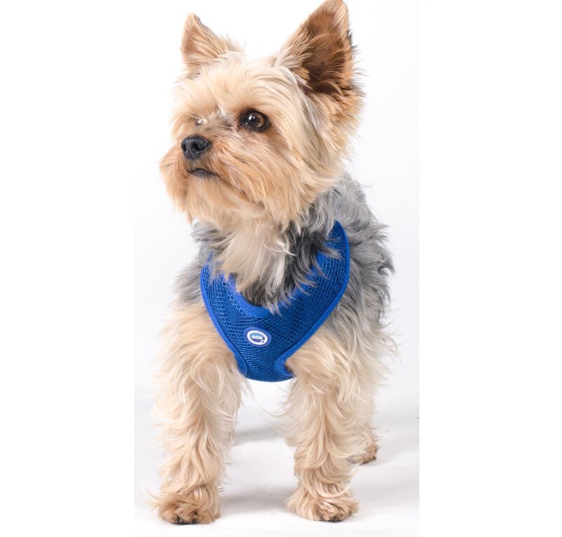 Aqua Coolkeeper Pettorina con Anello Refrigerante Cane Pacific Blue