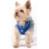 Aqua Coolkeeper Pettorina con Anello Refrigerante Cane Pacific Blue