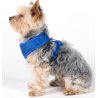 Aqua Coolkeeper Pettorina con Anello Refrigerante Cane Pacific Blue