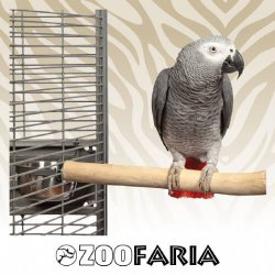 Zoofaria Posatoio Singolo Corto in legno duro per uccelli