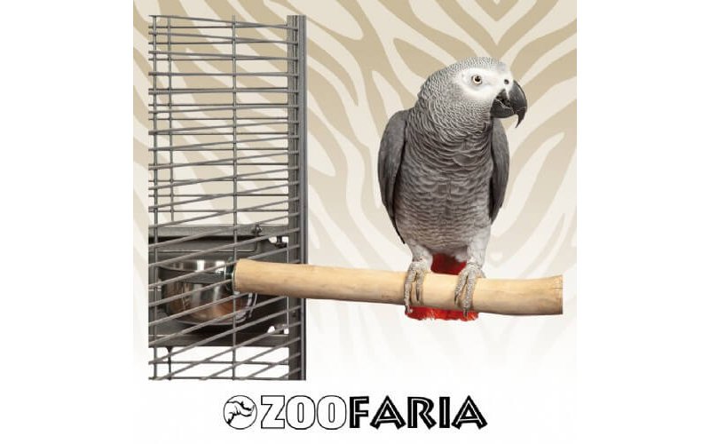 Zoofaria Posatoio Singolo Corto in legno duro per uccelli