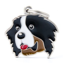 Medaglietta Cane Bernese 2017