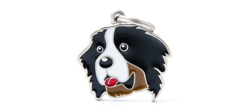 Medaglietta Cane Bernese 2017