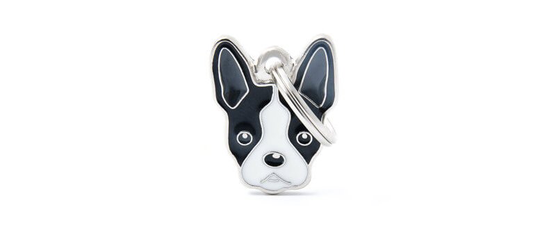 Medaglietta Cane Boston Terrier 2017