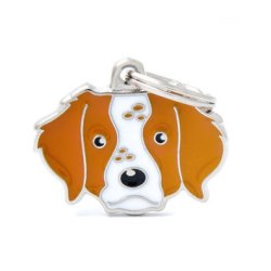 Medaglietta Cane Breton 2017